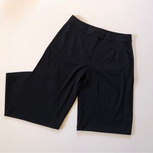 NWOT American eagle dress pants